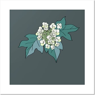 Alabama State Wildflower : Oak-Leaf Hydrangea Posters and Art